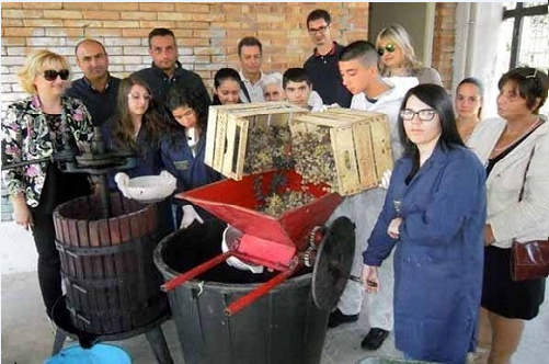 vino articolo2